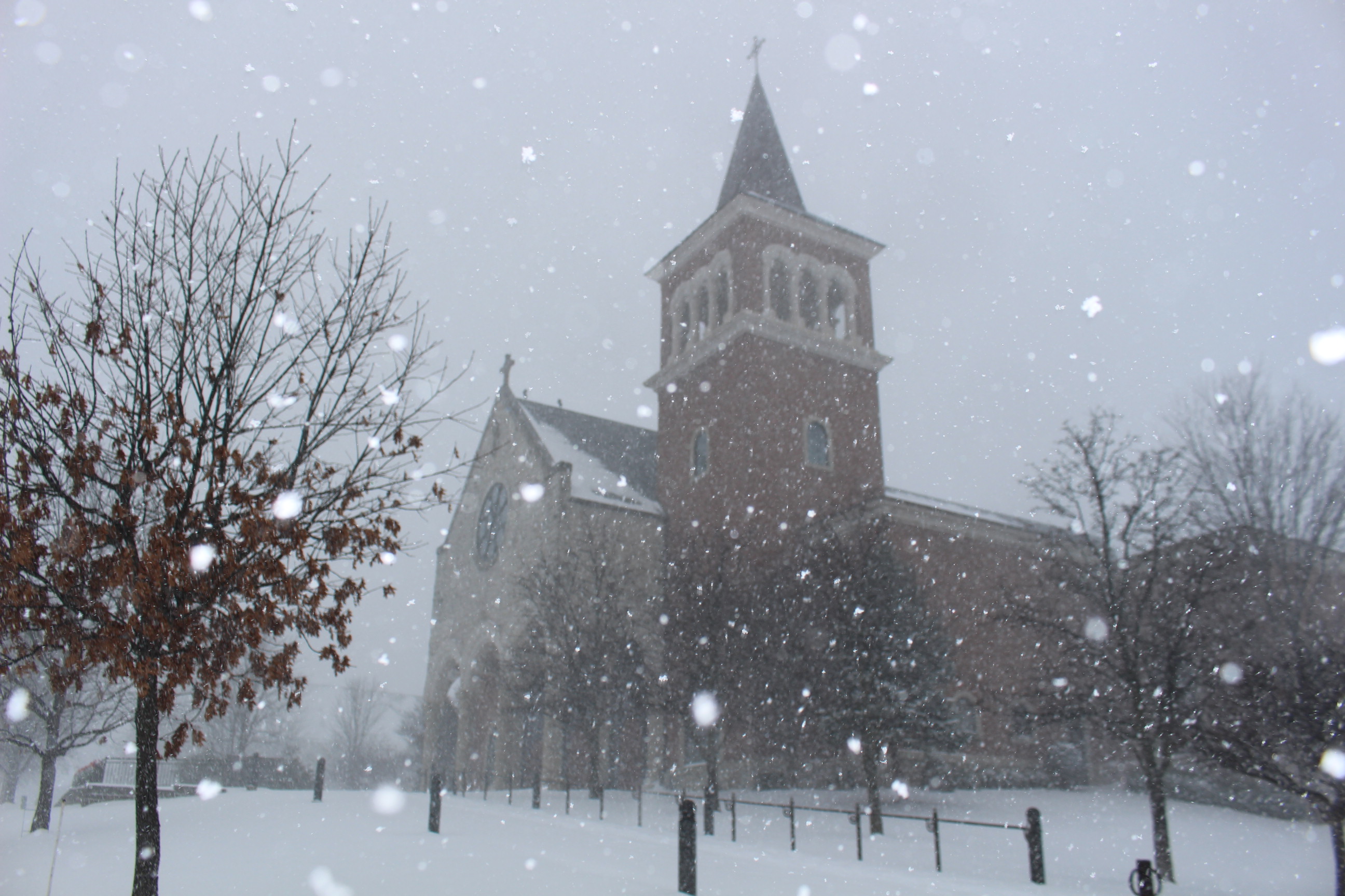 Parish Office CLOSED Jan 6 /Morning Masses Celebrated > Assumption of ...