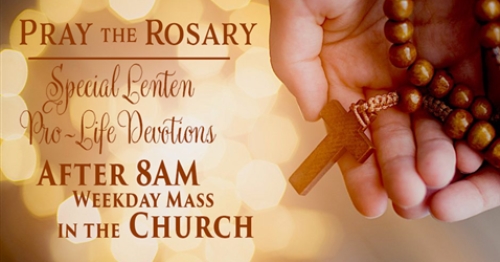 Pray the Rosary with Us this Lenten Season 