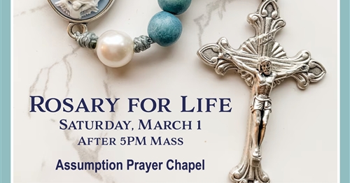 Praying the Rosary for Life 