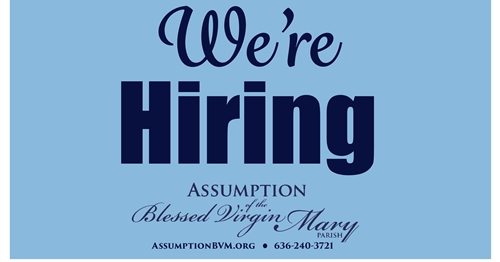 Seeking Youth Program Coordinator