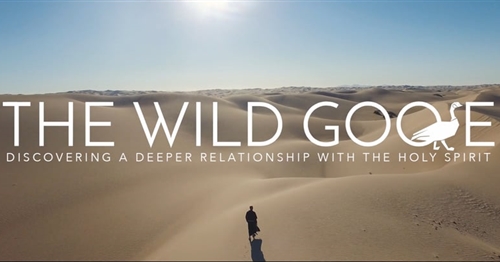 The Wild Goose Video Series is Back! 